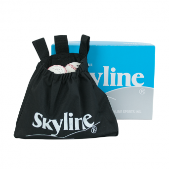 스카이라인 Skyline 심판 볼주머니