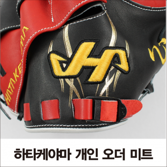 하타케야마 HATAKEYAMA 글러브 미트 개인오더